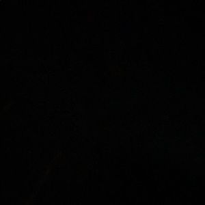 Meet your Posher, Mia